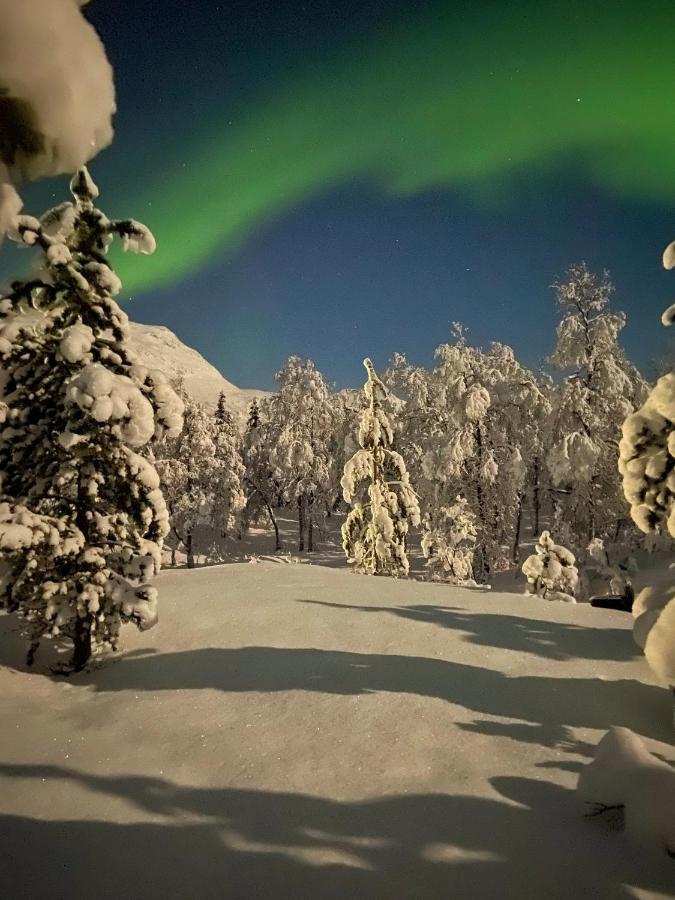 فيلا North Experience Basecamp Oteren المظهر الخارجي الصورة